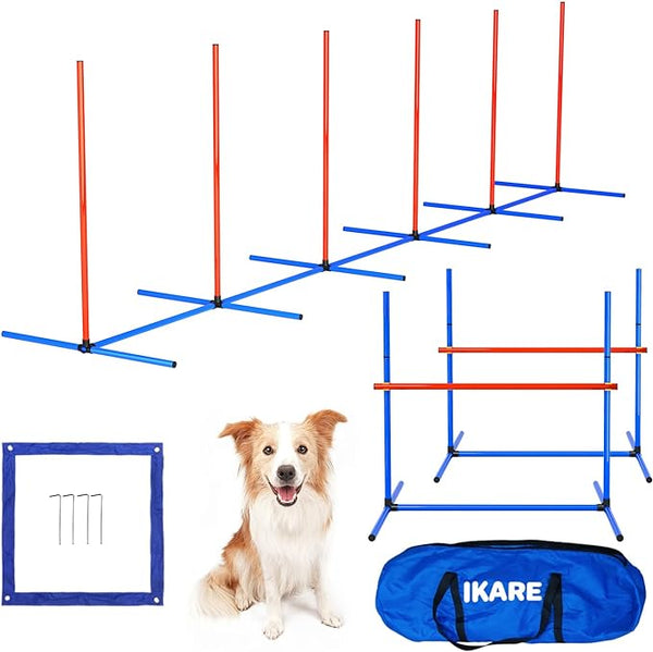 4 Piece Pet Dog Agility Training Equipment Pet Obstacle Course Training Starter Kit