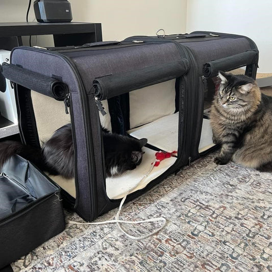 The Dual Carrier