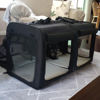 The Dual Carrier