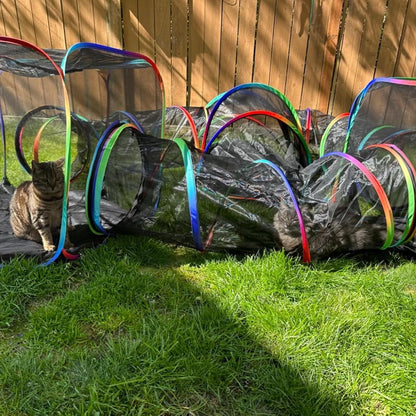 The Pawtopia Playhouse