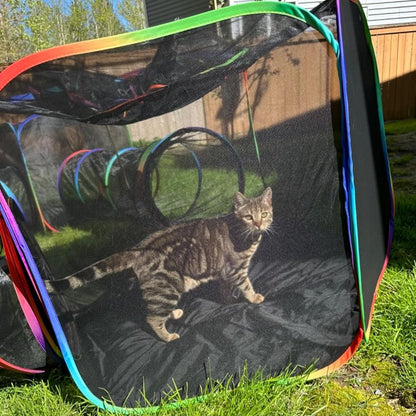 The Pawtopia Playhouse