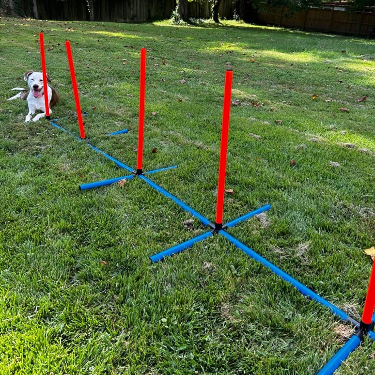 The Agility Kit