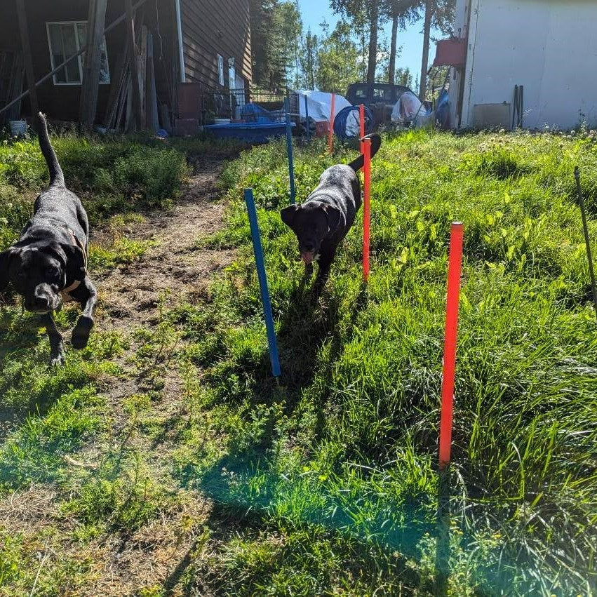 The Agility Kit