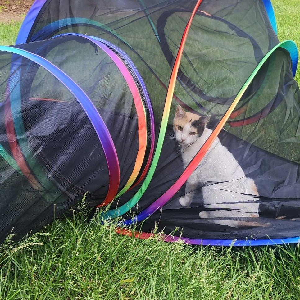 The Pawtopia Playhouse