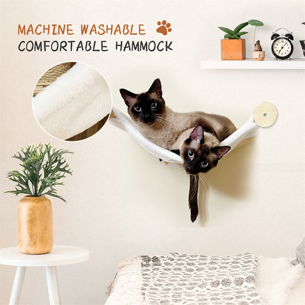 Cat Wall Shelves and Perches for Sleeping and Playing